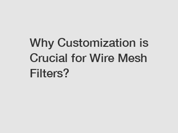 Why Customization is Crucial for Wire Mesh Filters?