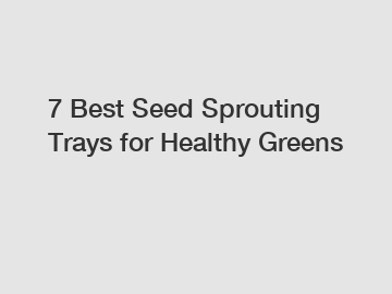 7 Best Seed Sprouting Trays for Healthy Greens