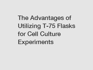 The Advantages of Utilizing T-75 Flasks for Cell Culture Experiments