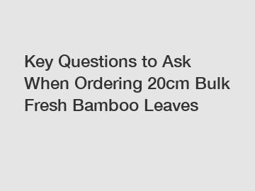 Key Questions to Ask When Ordering 20cm Bulk Fresh Bamboo Leaves