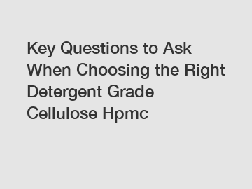 Key Questions to Ask When Choosing the Right Detergent Grade Cellulose Hpmc