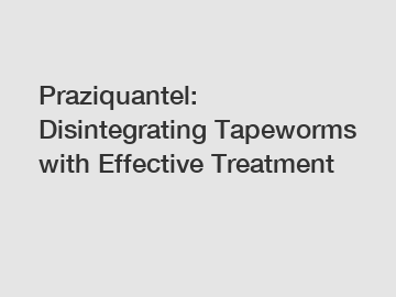 Praziquantel: Disintegrating Tapeworms with Effective Treatment