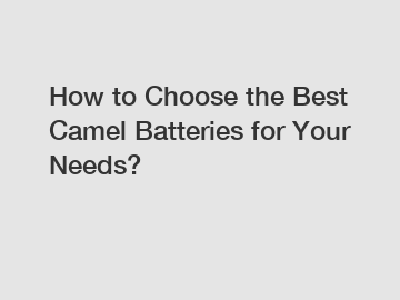 How to Choose the Best Camel Batteries for Your Needs?