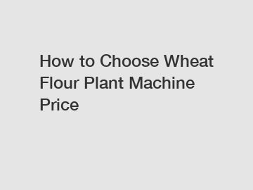 How to Choose Wheat Flour Plant Machine Price