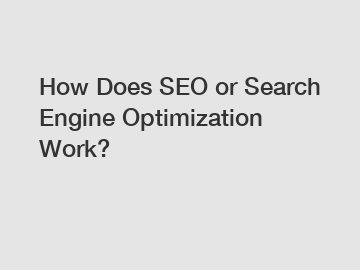 How Does SEO or Search Engine Optimization Work?