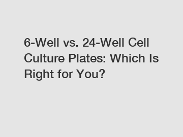 6-Well vs. 24-Well Cell Culture Plates: Which Is Right for You?