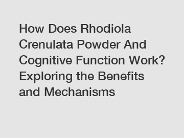 How Does Rhodiola Crenulata Powder And Cognitive Function Work? Exploring the Benefits and Mechanisms