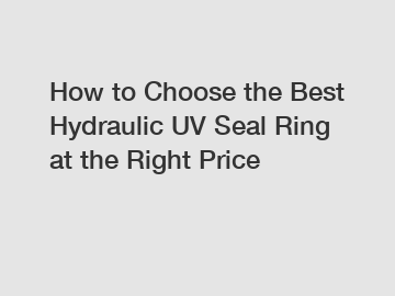 How to Choose the Best Hydraulic UV Seal Ring at the Right Price