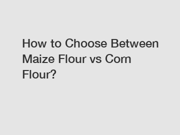 How to Choose Between Maize Flour vs Corn Flour?