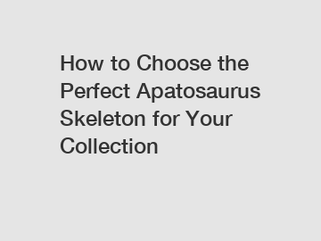 How to Choose the Perfect Apatosaurus Skeleton for Your Collection
