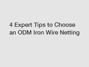 4 Expert Tips to Choose an ODM Iron Wire Netting