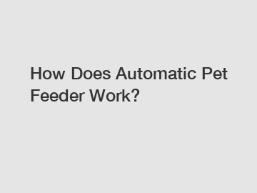 How Does Automatic Pet Feeder Work?