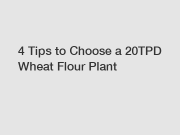 4 Tips to Choose a 20TPD Wheat Flour Plant