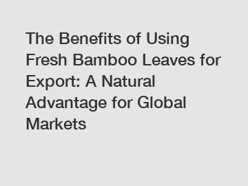 The Benefits of Using Fresh Bamboo Leaves for Export: A Natural Advantage for Global Markets