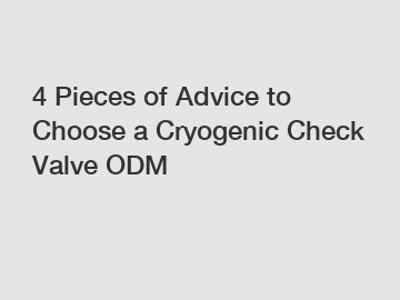 4 Pieces of Advice to Choose a Cryogenic Check Valve ODM