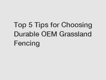 Top 5 Tips for Choosing Durable OEM Grassland Fencing