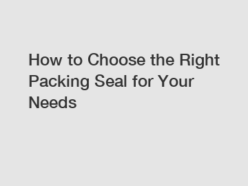 How to Choose the Right Packing Seal for Your Needs