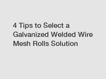 4 Tips to Select a Galvanized Welded Wire Mesh Rolls Solution