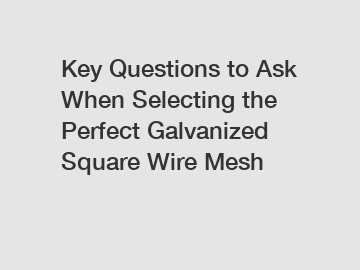 Key Questions to Ask When Selecting the Perfect Galvanized Square Wire Mesh