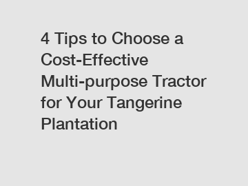 4 Tips to Choose a Cost-Effective Multi-purpose Tractor for Your Tangerine Plantation