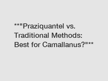 **"Praziquantel vs. Traditional Methods: Best for Camallanus?"**