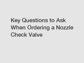 Key Questions to Ask When Ordering a Nozzle Check Valve