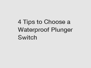 4 Tips to Choose a Waterproof Plunger Switch