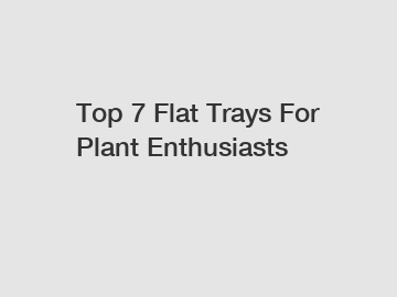 Top 7 Flat Trays For Plant Enthusiasts
