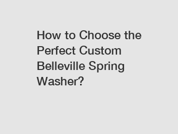 How to Choose the Perfect Custom Belleville Spring Washer?