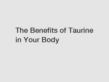 The Benefits of Taurine in Your Body