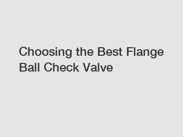 Choosing the Best Flange Ball Check Valve