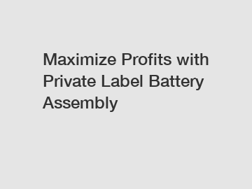 Maximize Profits with Private Label Battery Assembly