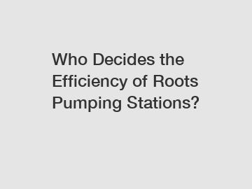 Who Decides the Efficiency of Roots Pumping Stations?