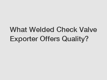 What Welded Check Valve Exporter Offers Quality?