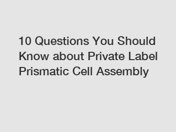 10 Questions You Should Know about Private Label Prismatic Cell Assembly