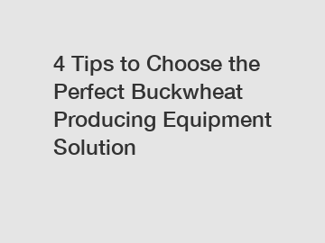 4 Tips to Choose the Perfect Buckwheat Producing Equipment Solution