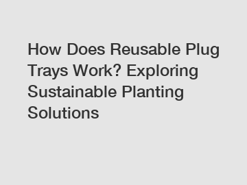 How Does Reusable Plug Trays Work? Exploring Sustainable Planting Solutions