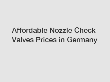 Affordable Nozzle Check Valves Prices in Germany