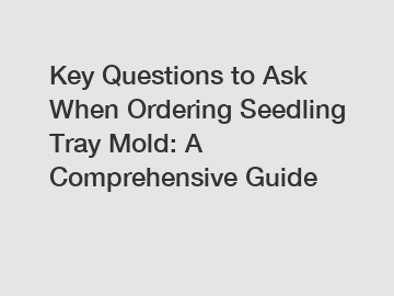 Key Questions to Ask When Ordering Seedling Tray Mold: A Comprehensive Guide