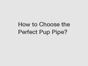 How to Choose the Perfect Pup Pipe?