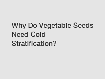 Why Do Vegetable Seeds Need Cold Stratification?