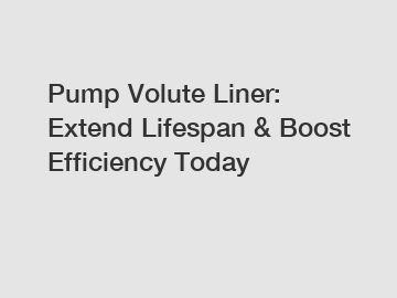 Pump Volute Liner: Extend Lifespan & Boost Efficiency Today