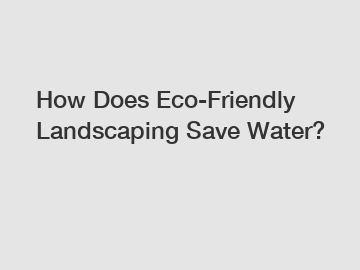 How Does Eco-Friendly Landscaping Save Water?