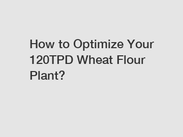 How to Optimize Your 120TPD Wheat Flour Plant?