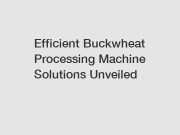 Efficient Buckwheat Processing Machine Solutions Unveiled