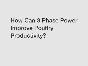 How Can 3 Phase Power Improve Poultry Productivity?