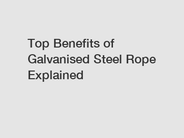 Top Benefits of Galvanised Steel Rope Explained