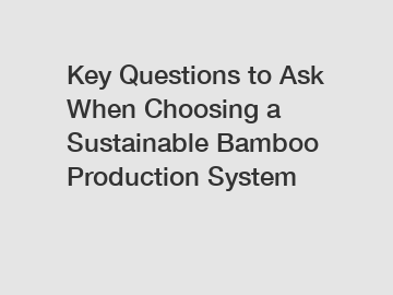 Key Questions to Ask When Choosing a Sustainable Bamboo Production System