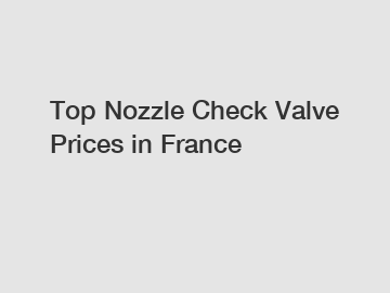 Top Nozzle Check Valve Prices in France