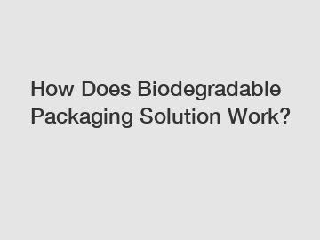 How Does Biodegradable Packaging Solution Work?